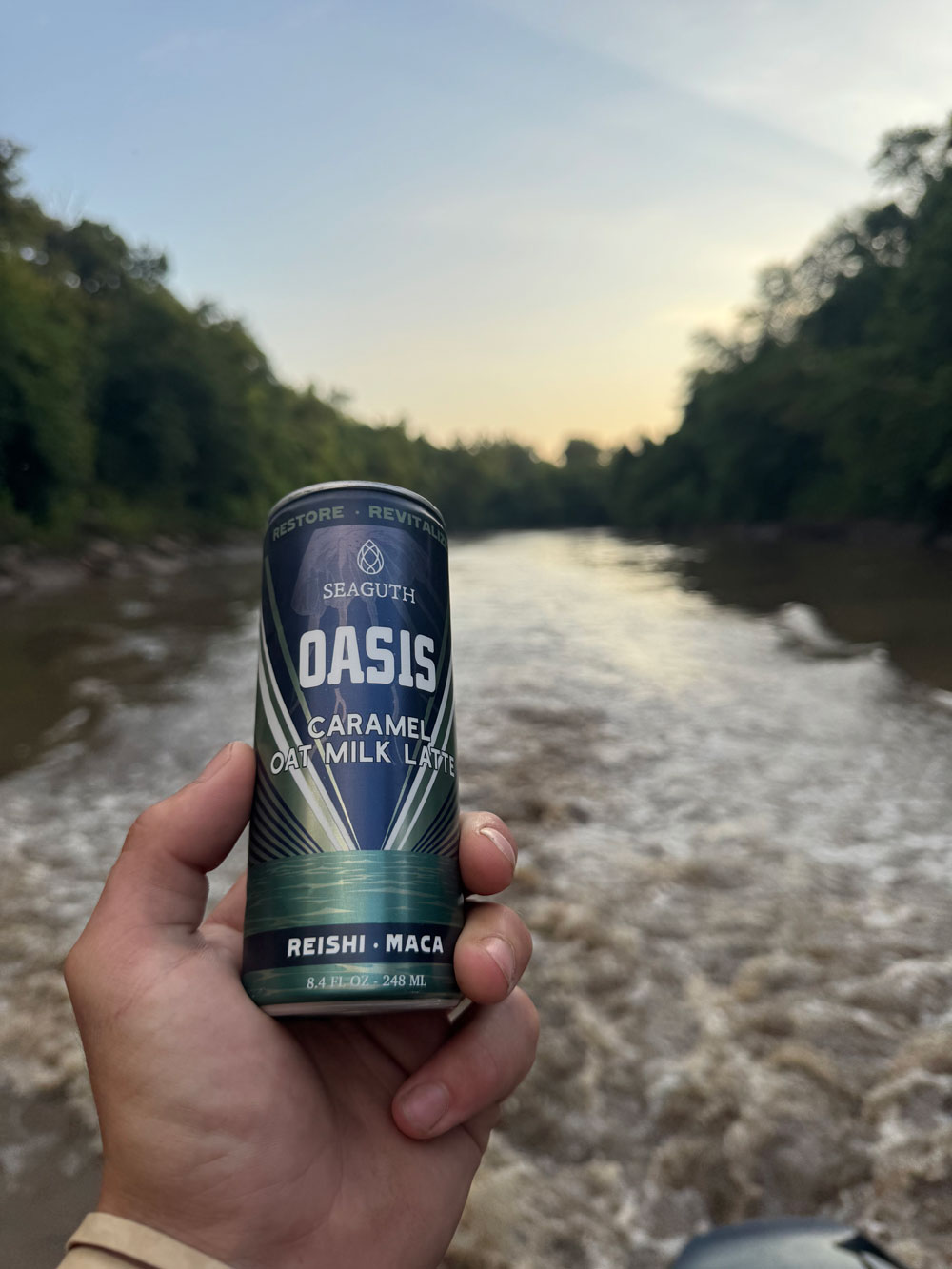 oasis_river